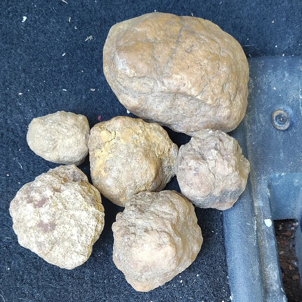 Geodes - Picture 1 of 5